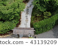 Japanese garden 43139209