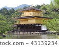 Kinkakuji 43139234
