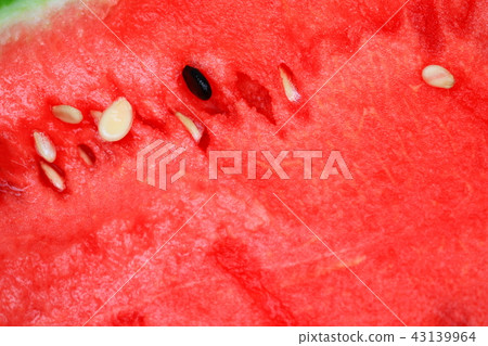 close up seed watermelon red texture close up seed watermelon red texture 43139964