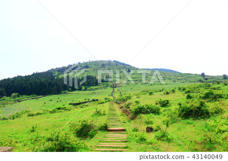 Hwacheon is rising, mountain, green, hill, garden, stairs, 43140049