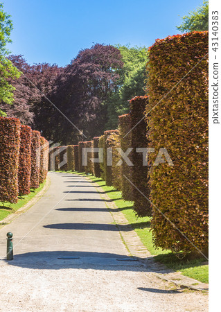 Abstract road in the city with autumn bushes 43140383