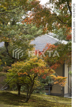 Kyoto Autumn Day Kyoto Autumn Day 43140738