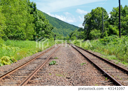 Soya Main Line 43141097