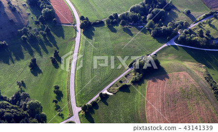 Roads leading through the forest, top view 43141339