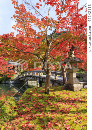 Autumn leaves of Kyoto · Zenlinji · Eikendo Autumn leaves of Kyoto · Zenlinji · Eikendo 43142118