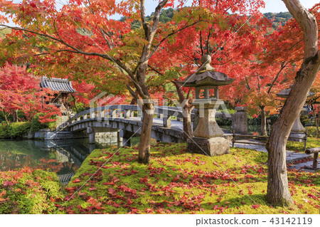 京都的秋葉·Zenlinji·Eikendo 京都的秋葉·Zenlinji·Eikendo 43142119