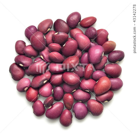 kidney 43142278