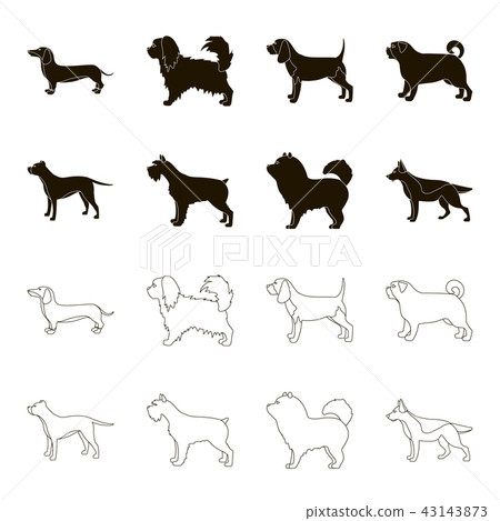 Pit bull, german shepherd, chow chow, schnauzer. Dog breeds set collection icons in black,outline Pit bull, german shepherd, chow chow, schnauzer. Dog breeds set collection icons in black,outline 43143873