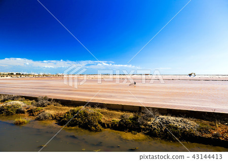 The "Saint-Martin" saline in Gruissan in france 43144413