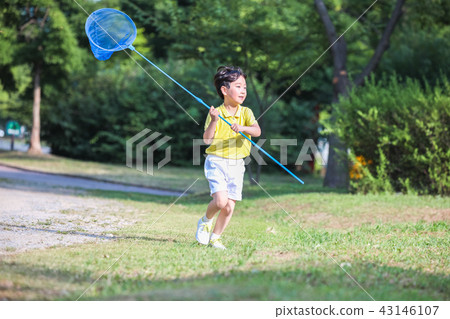 孩子,男孩,蜻蜓,自然,睡覺 孩子,男孩,蜻蜓,自然,睡覺 43146107