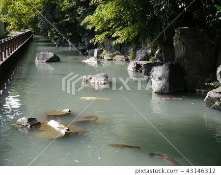 Ryutsu-ji Temple (57 famous spring waters from Tokyo) Ryutsu-ji Temple (57 famous spring waters from Tokyo) 43146312
