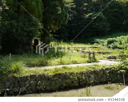Katakura Castle ruins park (57 famous spring waters of Tokyo) Katakura Castle ruins park (57 famous spring waters of Tokyo) 43146336