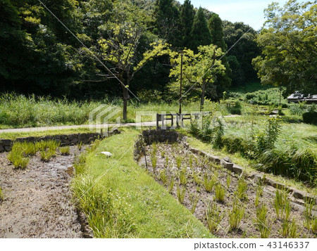 Katakura Castle ruins park (57 famous spring waters of Tokyo) Katakura Castle ruins park (57 famous spring waters of Tokyo) 43146337