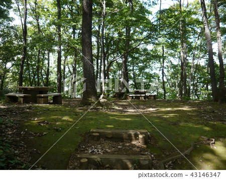 片倉城遺址公園(東京57個著名的泉水) 片倉城遺址公園(東京57個著名的泉水) 43146347