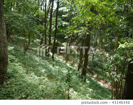 片倉城遺址公園(東京57個著名的泉水) 片倉城遺址公園(東京57個著名的泉水) 43146348