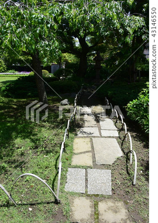 Ichinoe Imperial Tea 43146550