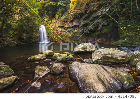 Tollet Fall @ Isahaya, Nagasaki Prefecture 43147083