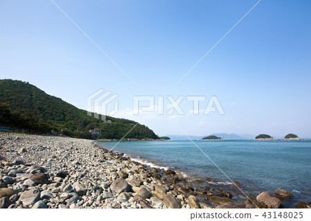 Bamboo, Blood, Mushroom, Yeosu, Jeonnam 43148025