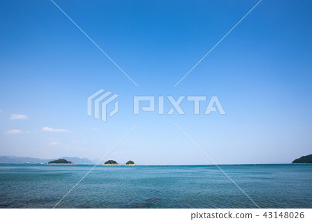 Bamboo, Blood, Mushroom, Yeosu, Jeonnam 43148026