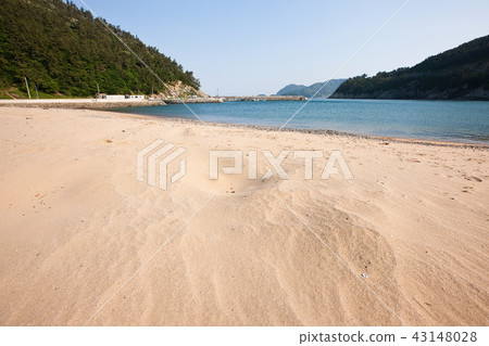 竹，血，蘑菇，麗水，全南 43148028