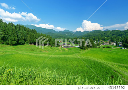 [Nitagata Sanjo City Kita-500河]北部的500個河階地位於Awagatake山腳下，被選為日本100個最佳的水稻階地之一。 43148592