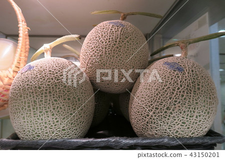 melon 43150201