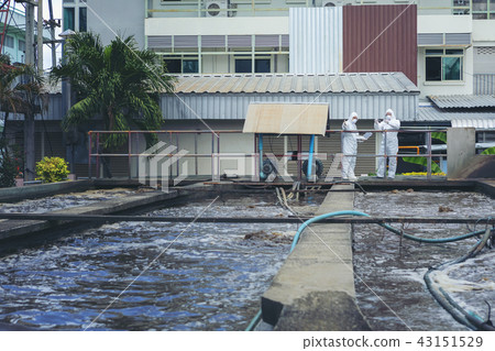 Scientists are examining the quality waste water Scientists are examining the quality waste water 43151529