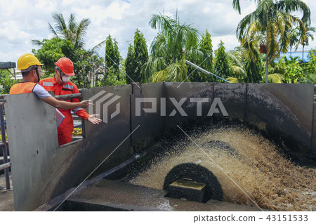 The maintenance technician inspecting wastewater 43151533