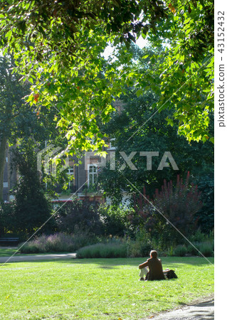 英國公園 43152432