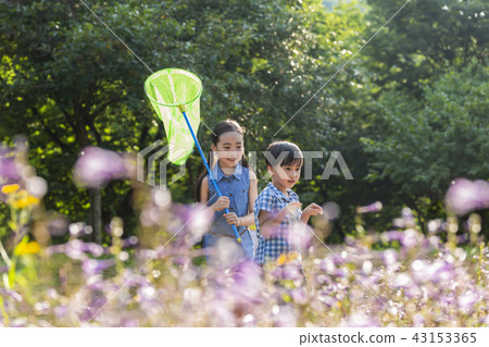 Children, child, brother, child, observation, outdoor learning, experiential learning, happiness, laughter, smile, anticipation, sleeping, butterfly collection 43153365