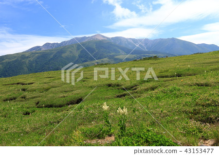 從北阿爾卑斯山到Tarohei Yakushitake的遠景 43153477