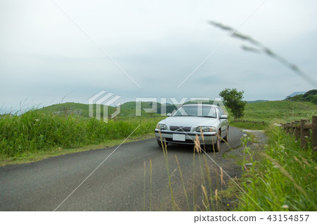 Car in the grassland 43154857