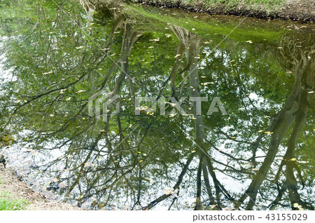 Irrigation canal Sri Lanka Irrigation canal Sri Lanka 43155029