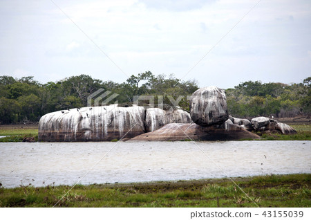 Kumana national park Sri Lanka Kumana national park Sri Lanka 43155039