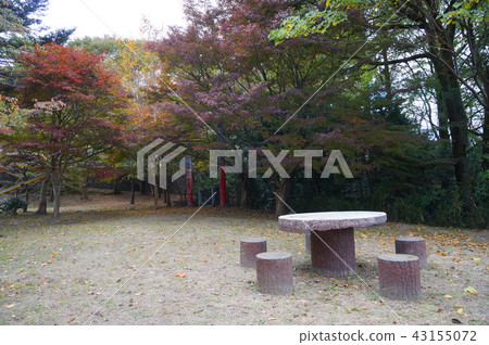 Park table Park table 43155072