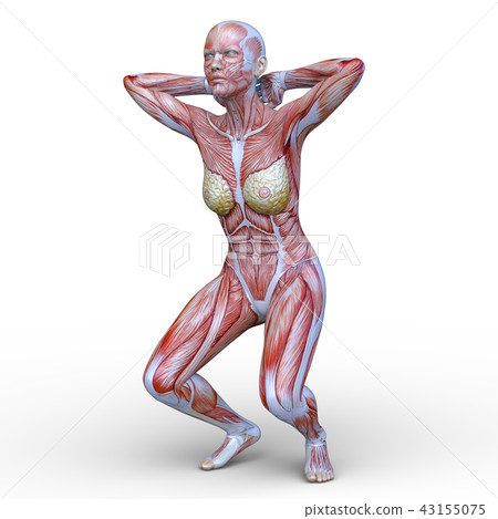 A man of a human model A man of a human model 43155075