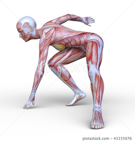 A man of a human model A man of a human model 43155076