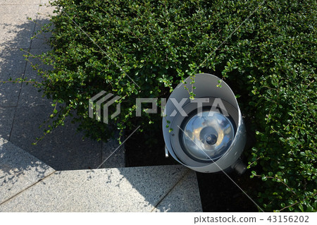 LED Spotlight in Garden LED Spotlight in Garden 43156202