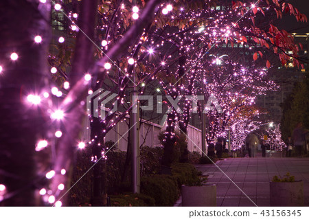 Meguro River Illumination Meguro River Illumination 43156345