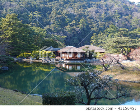 Kuribayashi Park pond building plum 43156453