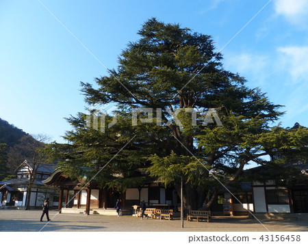 Kuribayashi park rest area blue sky Kuribayashi park rest area blue sky 43156458