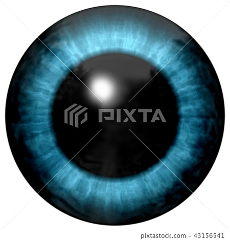 Beautiful blue eyes with bright light reflection.  43156541