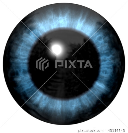 Beautiful blue eyes with bright light reflection. Beautiful blue eyes with bright light reflection. 43156543