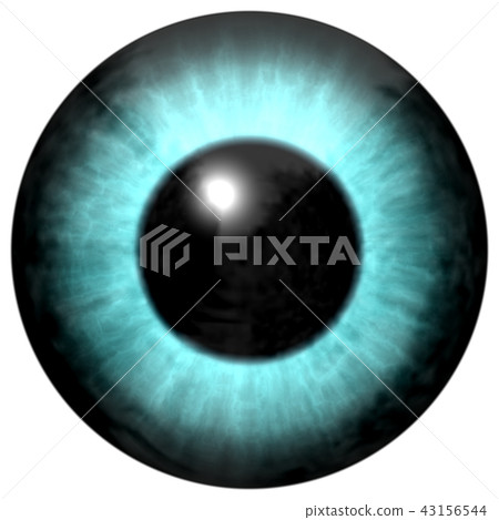 Beautiful blue eyes with bright light reflection.  43156544