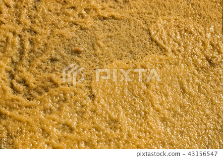 A yellow textured background of a dense pork lard. 43156547