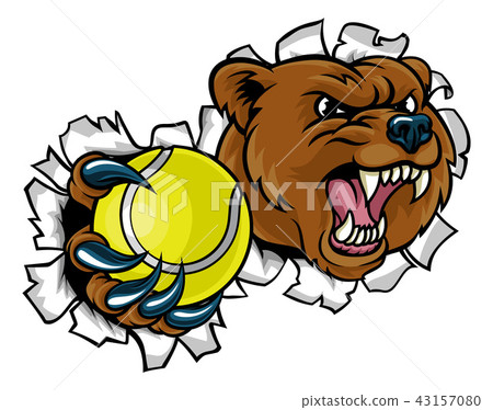 Bear Holding Tennis Ball Breaking Background Bear Holding Tennis Ball Breaking Background 43157080