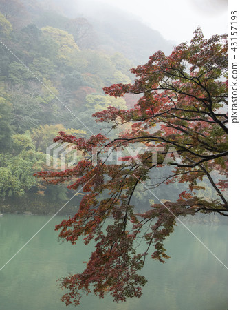 Lushan Ferry Lushan Ferry 43157193