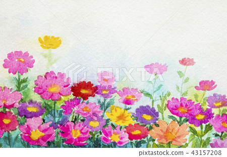 Painting watercolor landscape colorful of daisy. 43157208