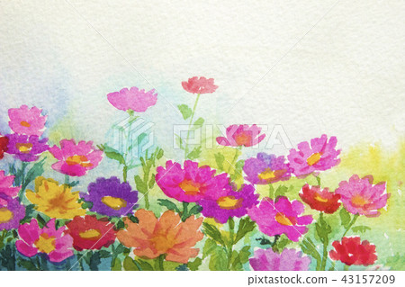 Painting watercolor colorful of daisy flowers. Painting watercolor colorful of daisy flowers. 43157209
