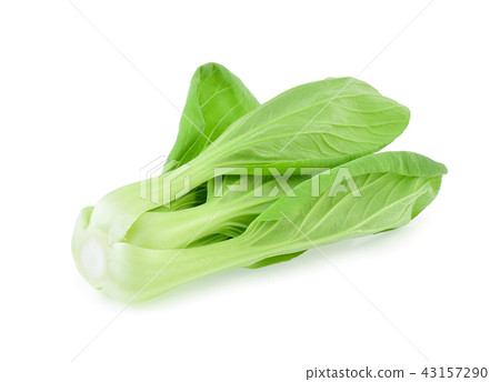 Bok choy (chinese cabbage) isolated on white backg 43157290